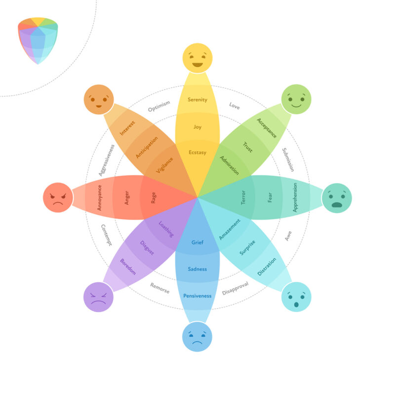 Identify and Label Emotions